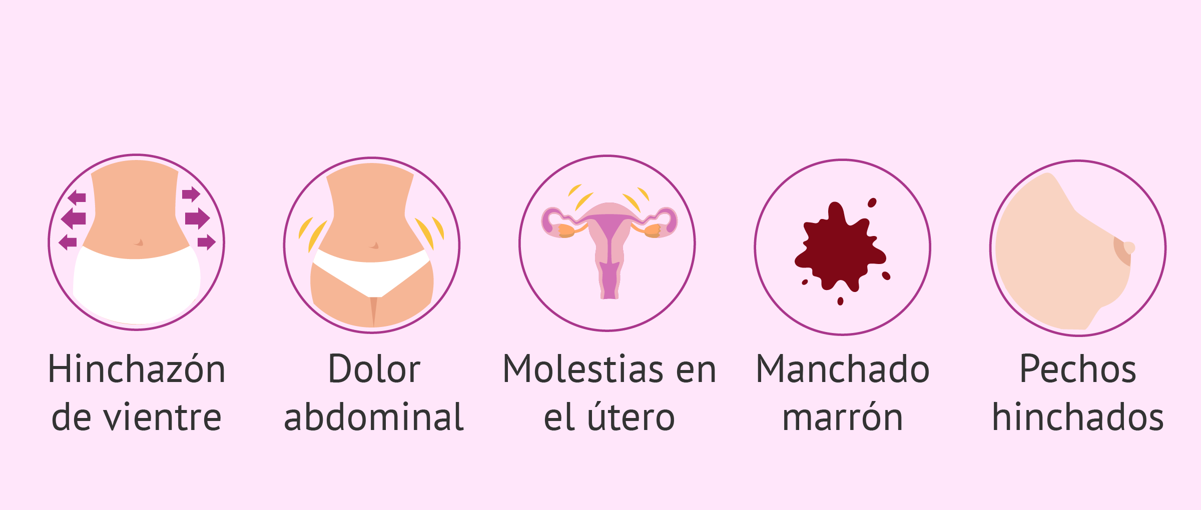 Recomendaciones antes y despues de una inseminacion artificial