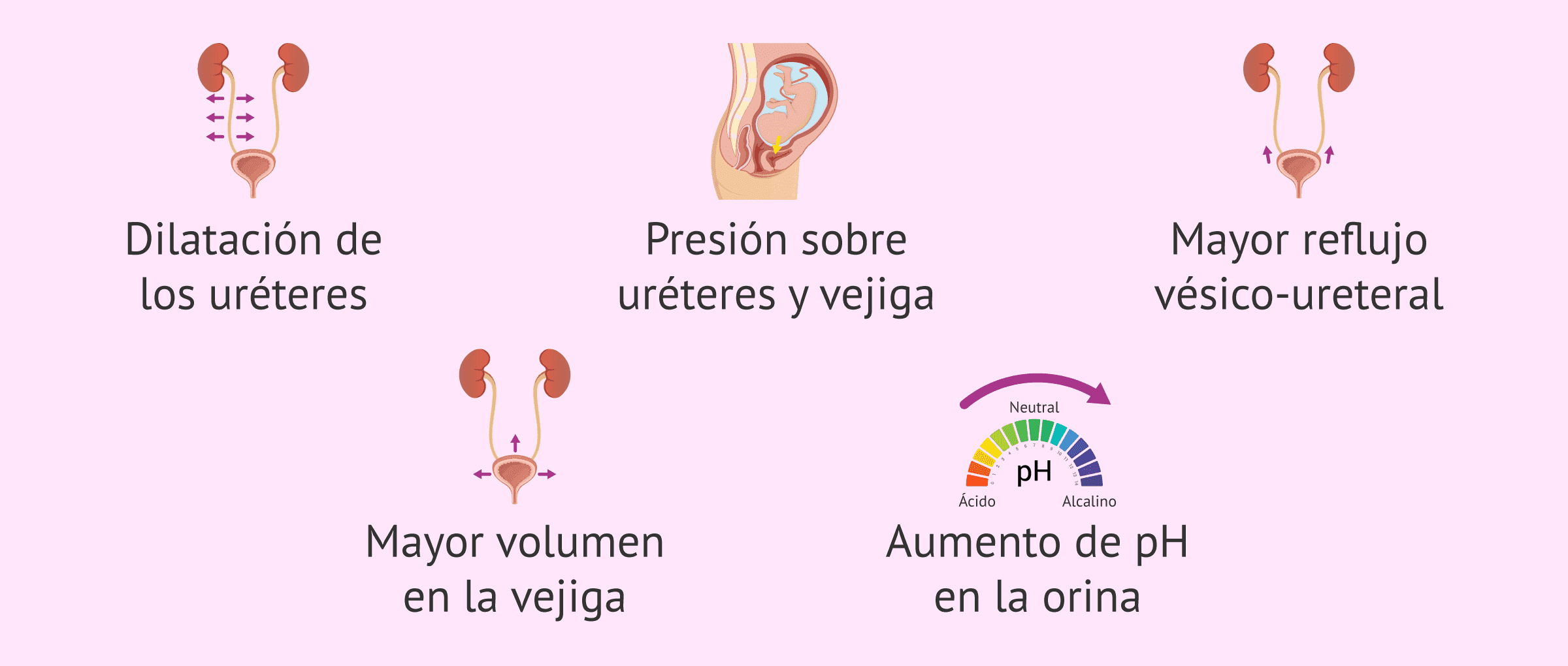infecciones-urinarias-en-el-embarazo-medicina-infecci-n-urinaria-en