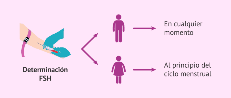 ¿Cuándo está indicada la prueba de FSH en la mujer? ¿Y en el hombre?