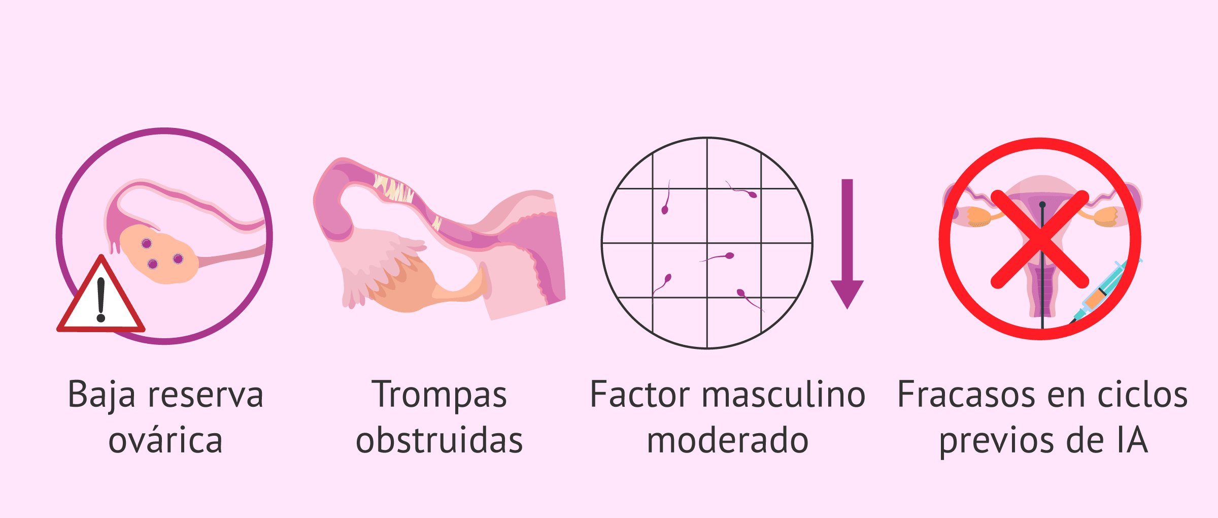 Cuando Se Empieza Tratamiento Fiv Indicaciones para un tratamiento de FIV