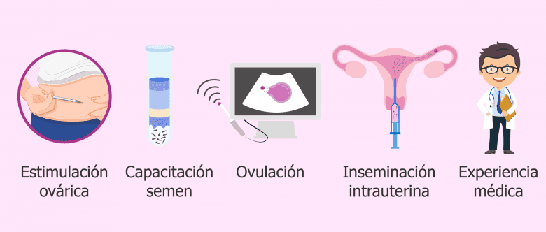 Que Pasa Si Se Queda La Vitro Encendida
