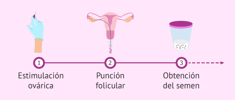 Que Pasa Si Se Queda La Vitro Encendida