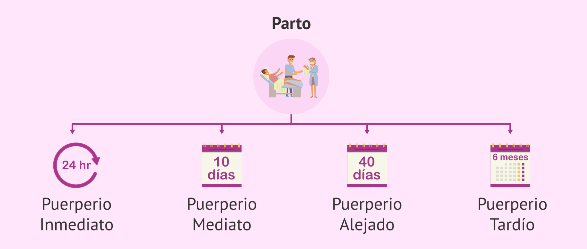 Etapas Del Puerperio etapas-del-puerperio