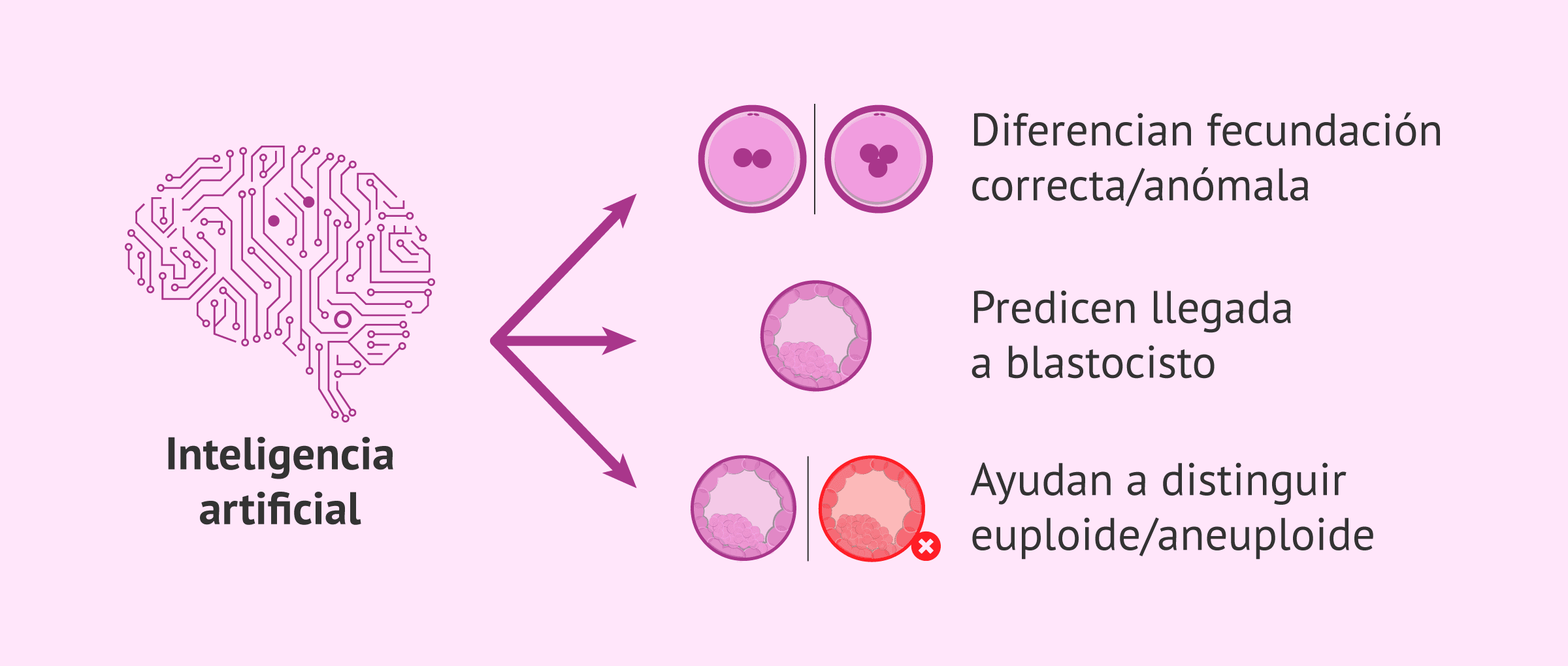 La inteligencia artificial (IA) en los tratamientos de fertilidad