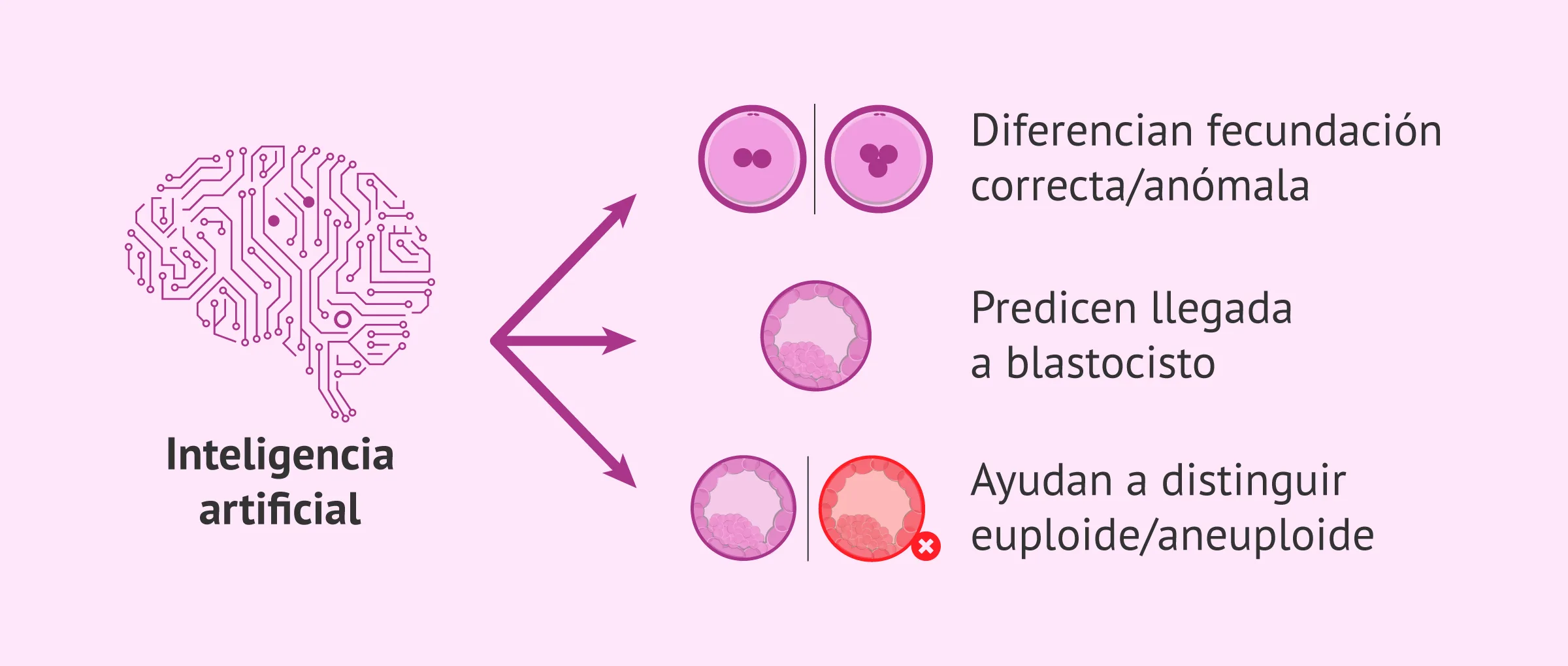 Inteligencia artificial y selección embrionaria
