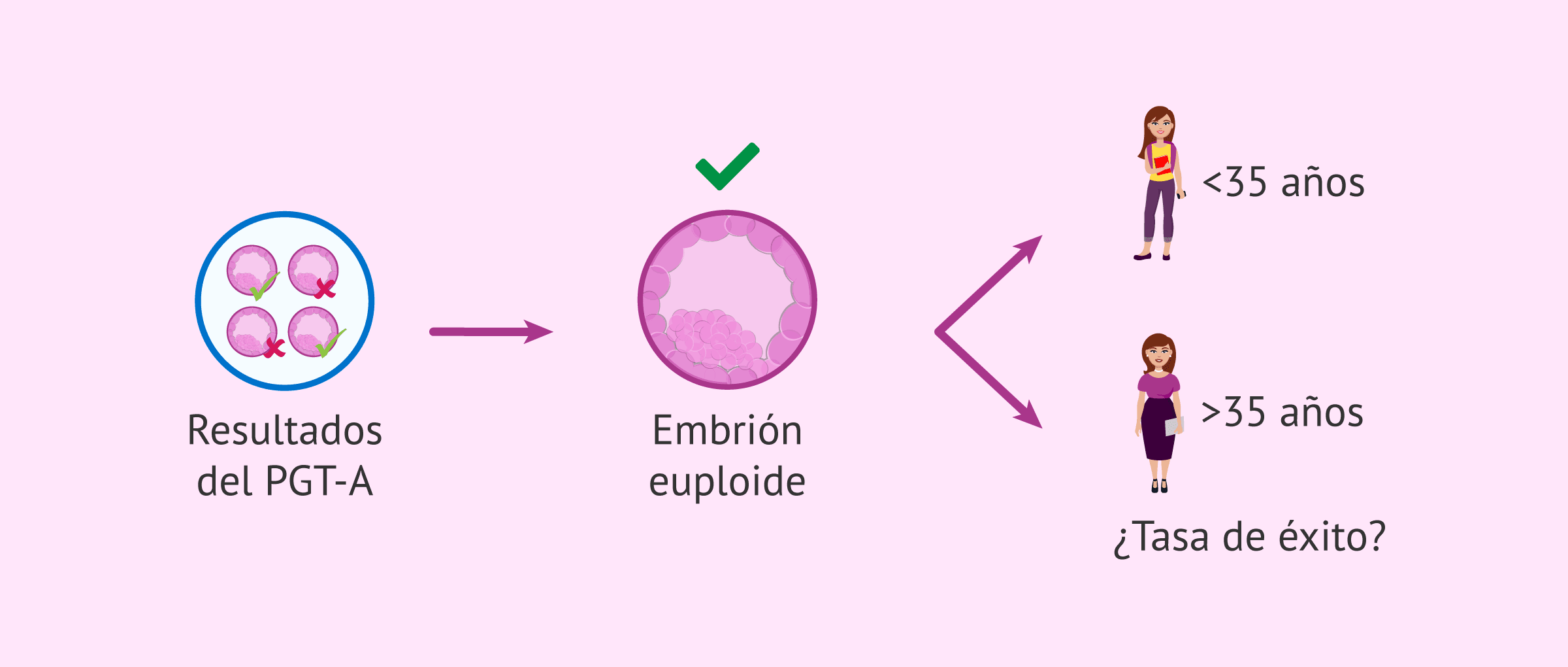 FIV con embriones euploides: ¿Afecta la edad materna al éxito?