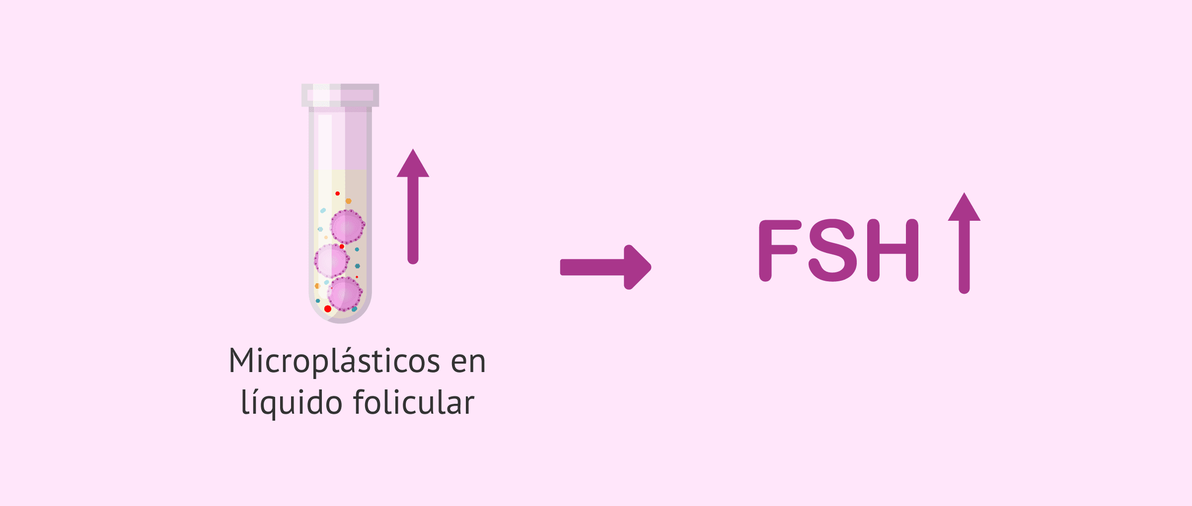 Imagen: Consecuencias de los microplásticos en el líquido folicular