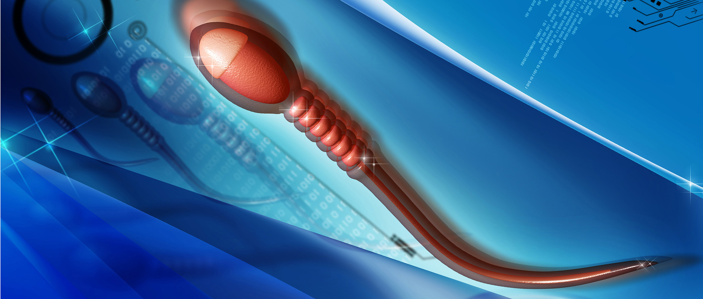 Selección del espermatozoide con mejor morfología