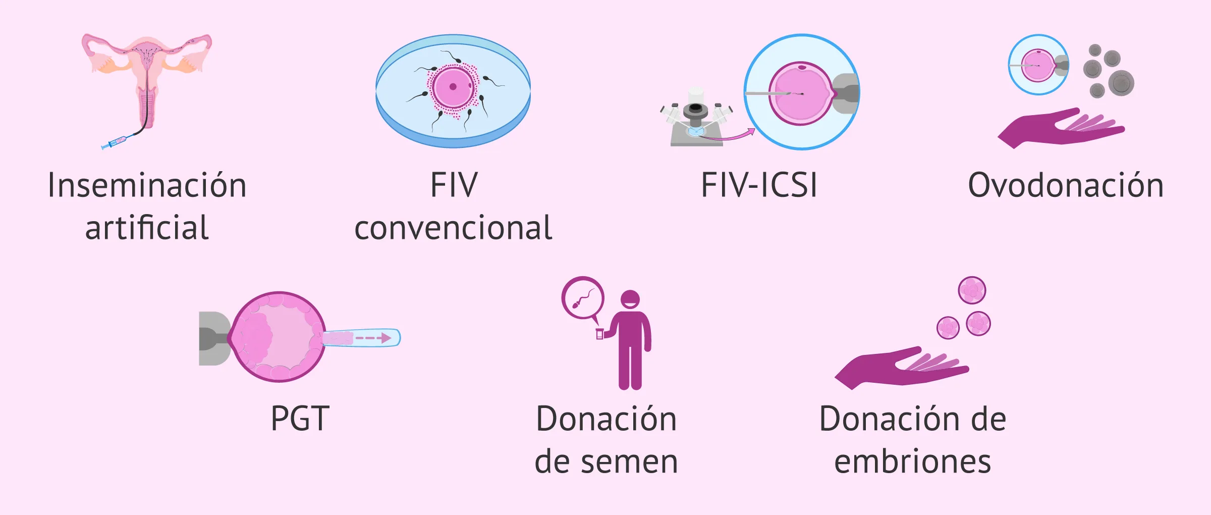 Imagen: Técnicas de reproducción asistida en España