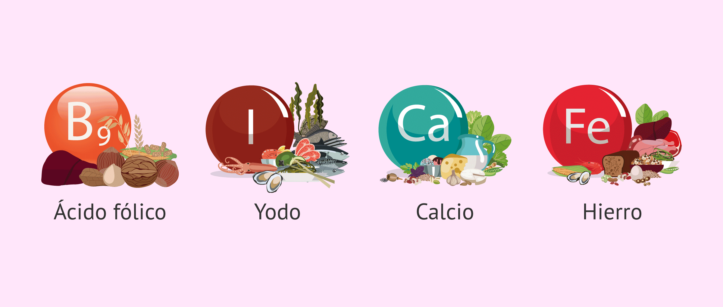 Imagen: Complementos indicados en el embarazo