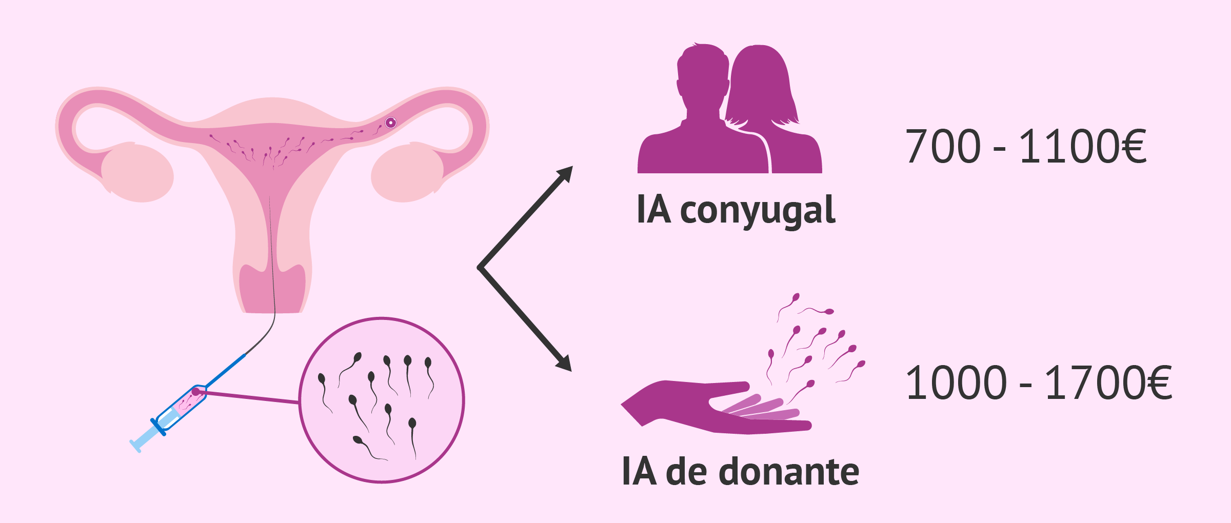 ¿Cuál es el precio de la inseminación artificial? ¿Qué incluye?