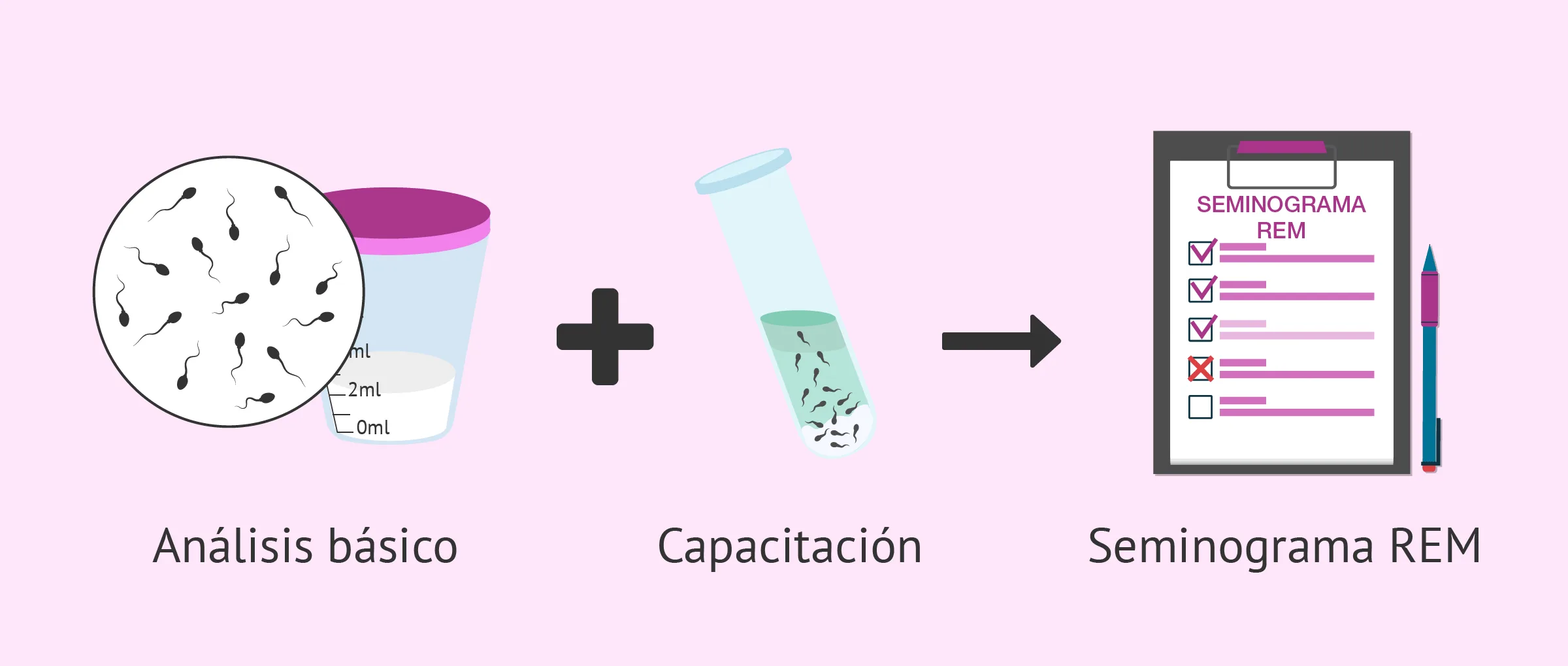 ¿Cuál es el precio de un seminograma completo? - Otras pruebas complementarias