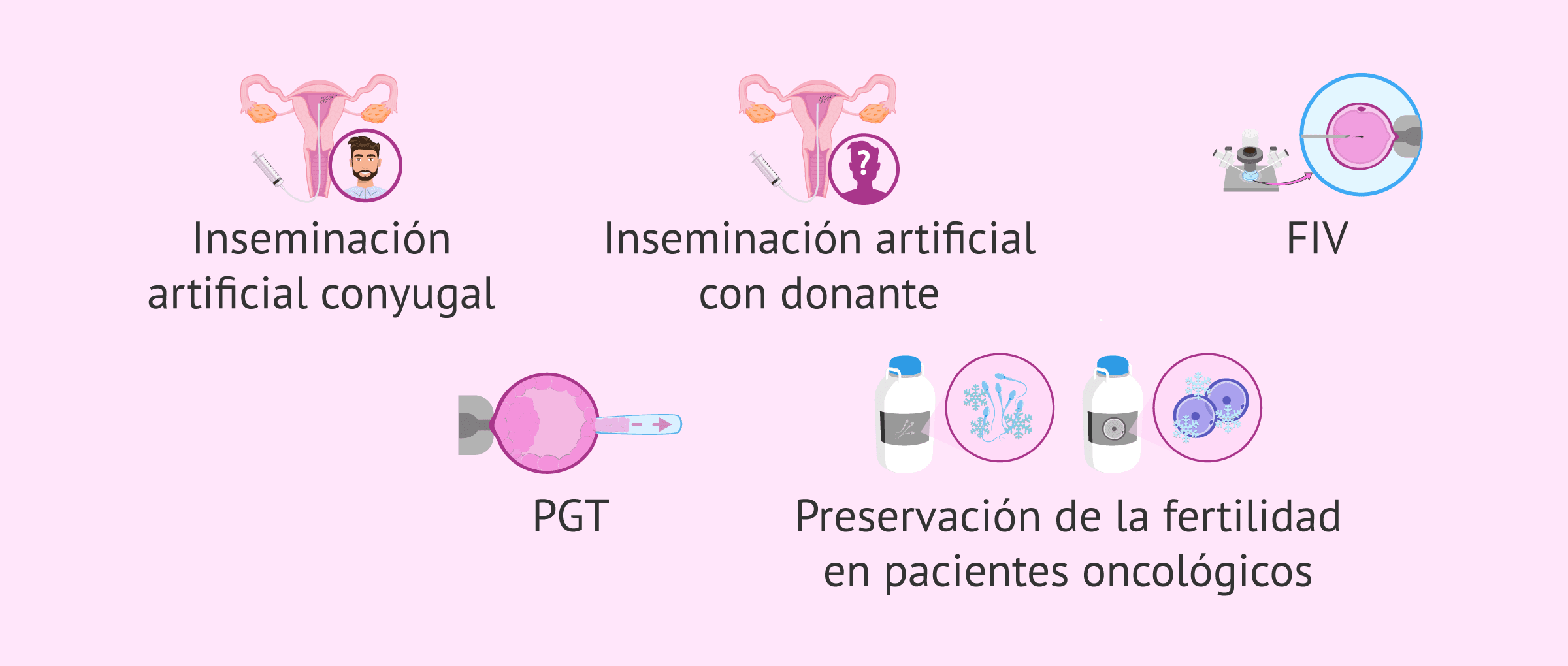 Imagen: Tratamientos de reproducción asistida en la sanidad pública