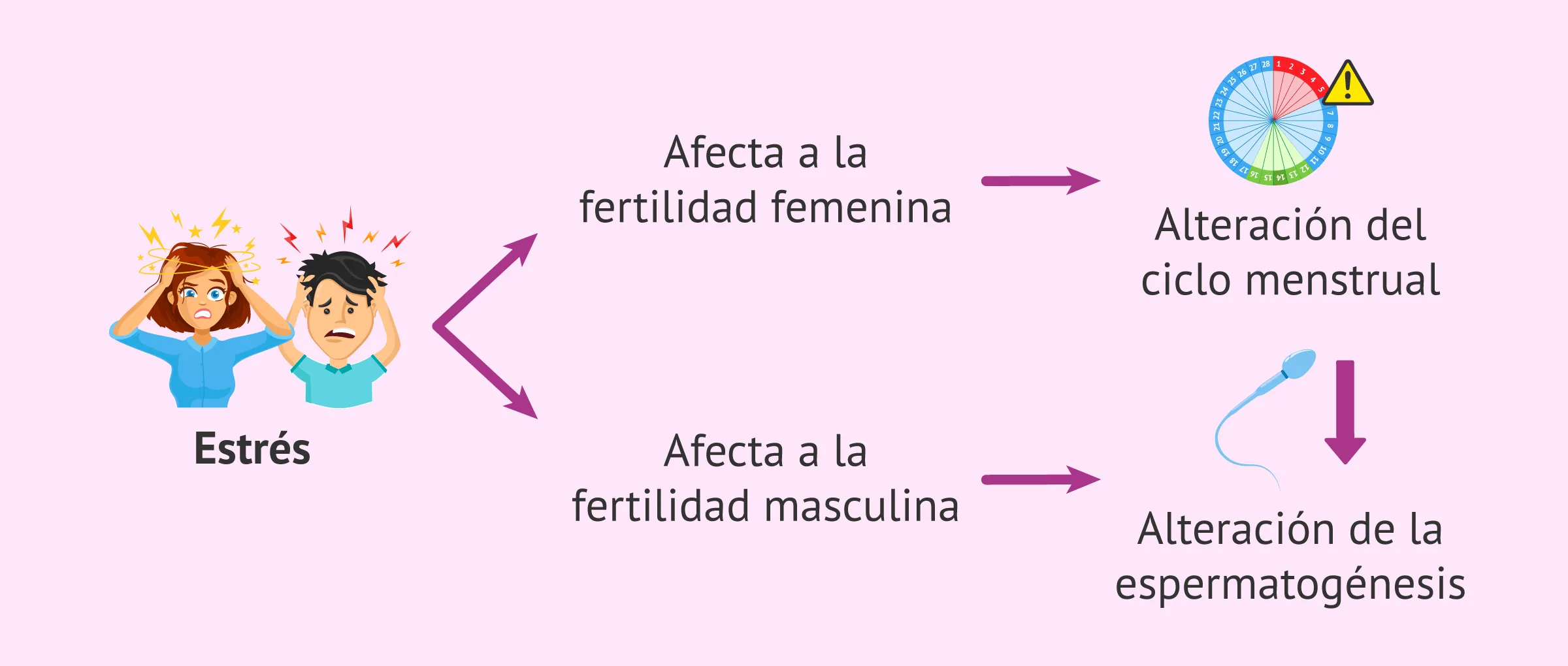 El estrés afecta a la fertilidad femenina y masculina