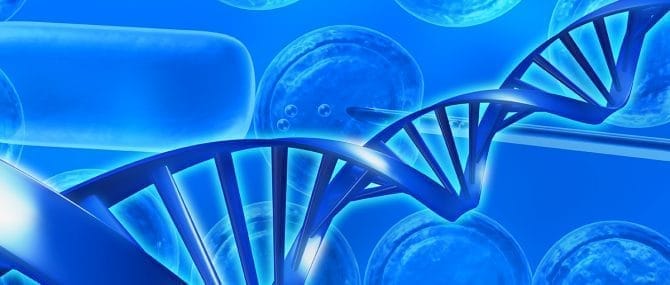 Imagen: Científicos de Estados Unidos han descubierto los genes que originan la infertilidad