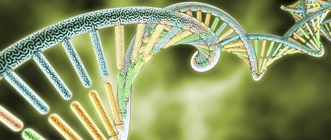 Imagen: Diagnóstico genético preimplantacional