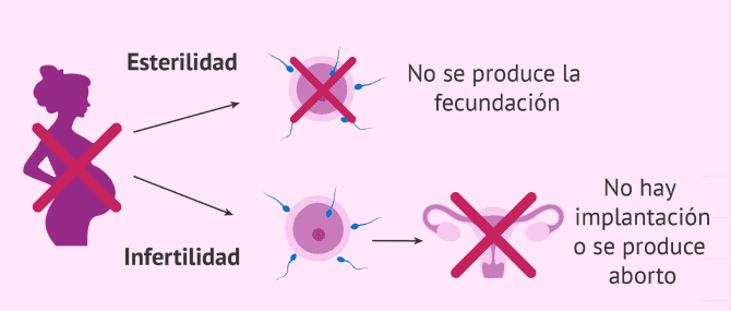 Imagen: Diferencia entre esterilidad e infertilidad
