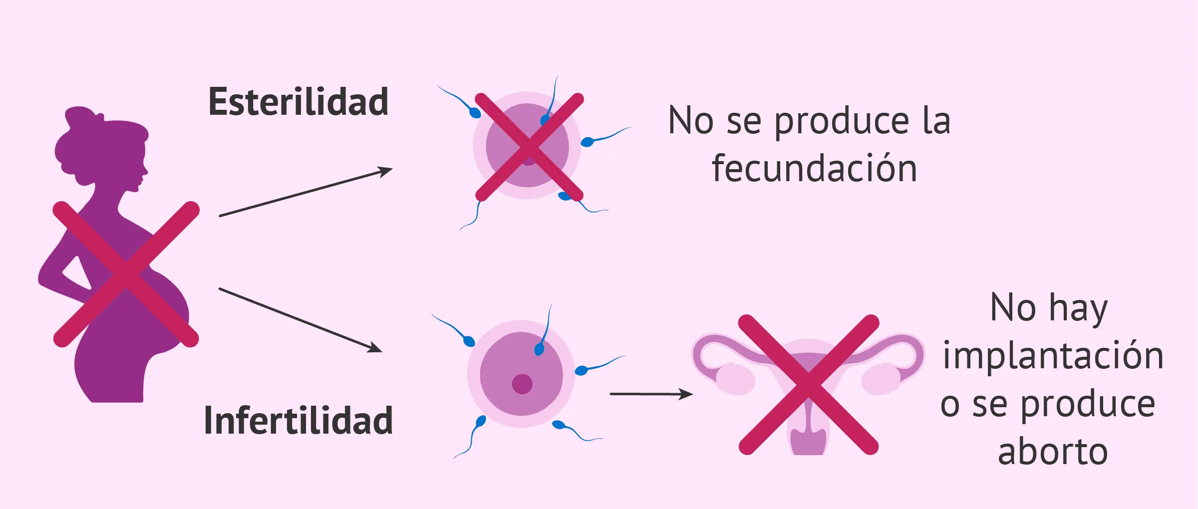 La esterilidad