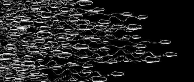 Imagen: Venta de esperma por internet