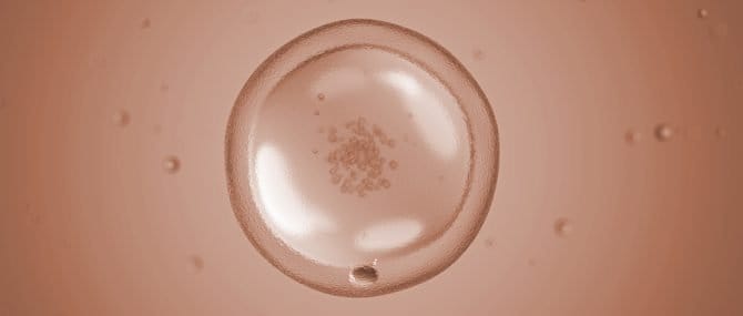 Imagen: El 56% de mujeres logra quedar embarazada después de un cáncer gracias a la ovodonación