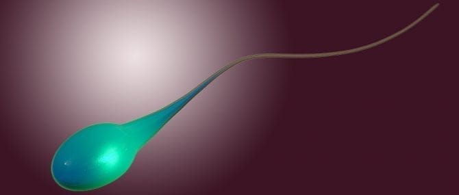 Imagen: El código del ADN del esperma humano está siendo descifrado por científicos europeos