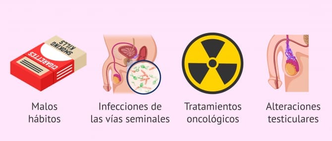 Imagen: Lograr embarazo con oligoastenospermia