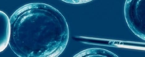 Manipulación de embriones