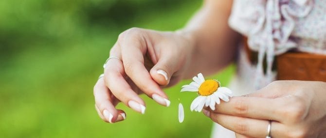 Imagen: Esencias de flores de Bach