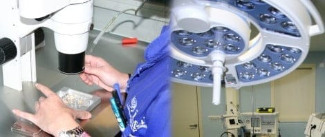 IMFER clínica de reproducción