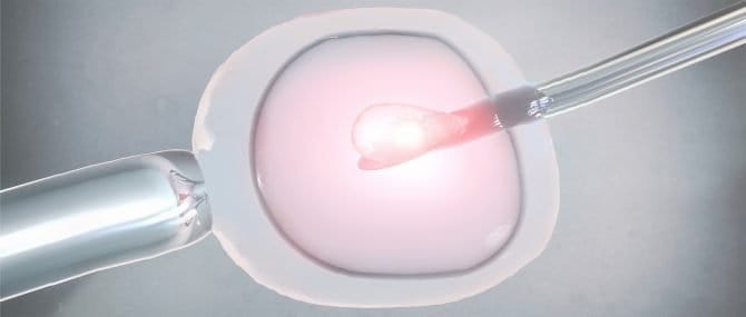 Imagen: Legislación Argentina sobre reproducción