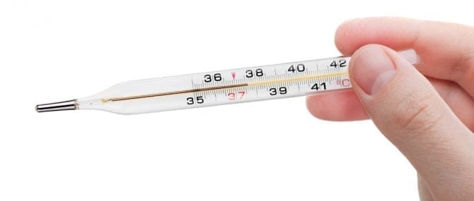 Imagen: Los fallecimientos ocasionadas por la gripe H1N1 pudieron ser causados también por la gripe estacional