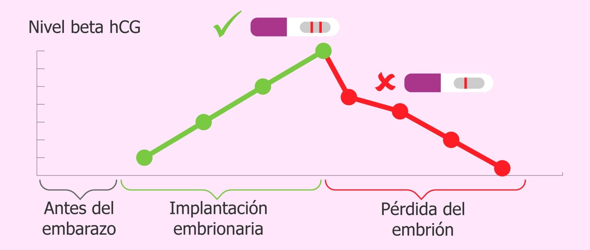 El embarazo bioquímico: diagnóstico, causas y síntomas