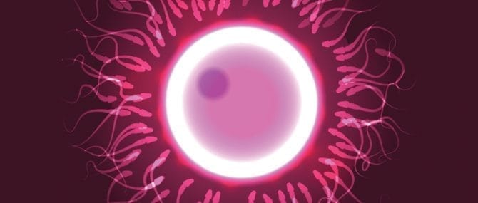 Imagen: Se ha descubierto la forma en que mujeres con óvulos defectuosos podrán tener hijos sin usar un óvulo donado