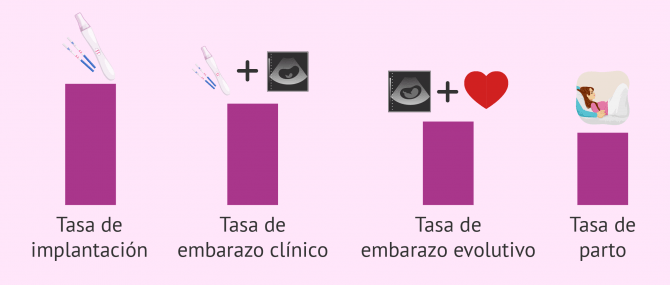 Imagen: Técnicas y tasas de embarazo