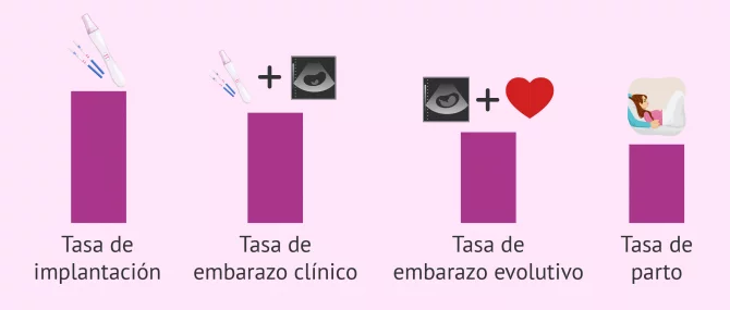 Imagen: Técnicas y tasas de embarazo