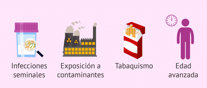 Imagen: Tratamiento estrés oxidativo
