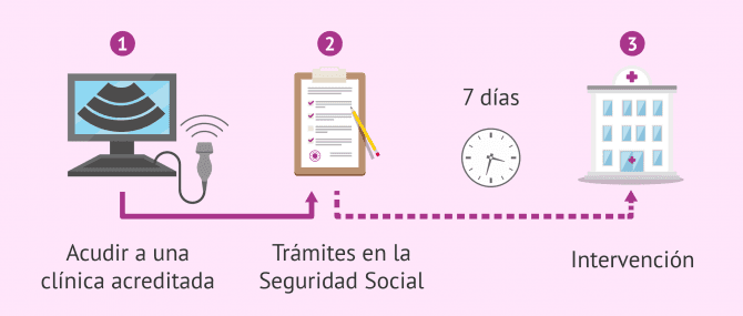 Imagen: Abortar por la Seguridad Social