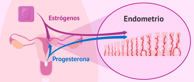 Imagen: Medicación para la preparación endometrial