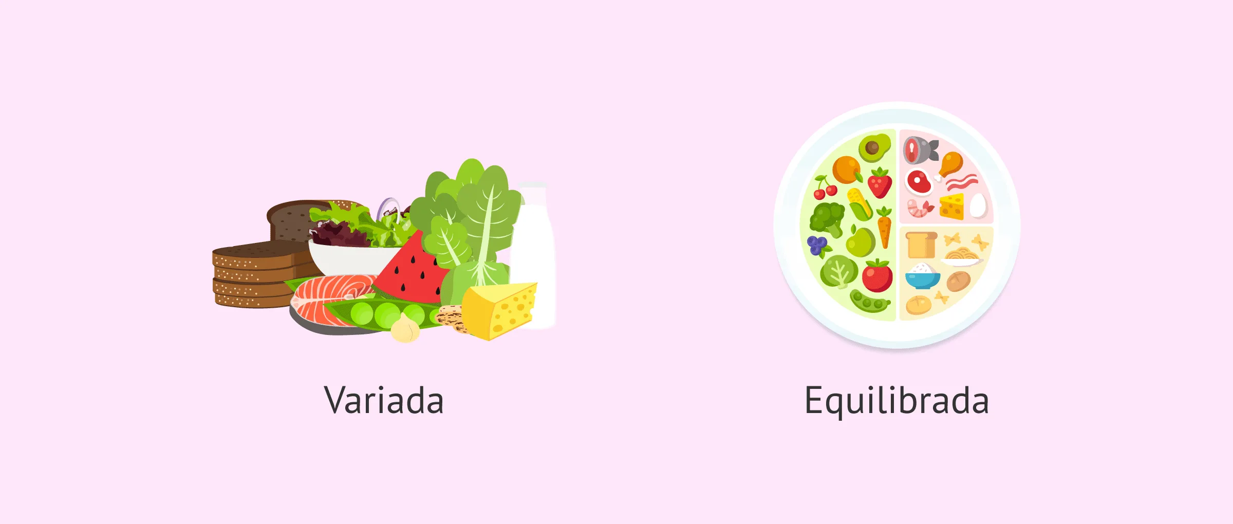 Alimentación variada & equilibrada