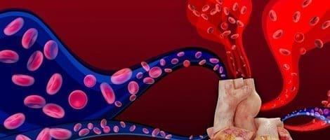 Cardiopatías congénitas fetales pueden detectarse por un análisis de sangre