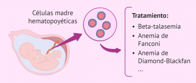 Imagen: Estrella nueva bebé medicamento