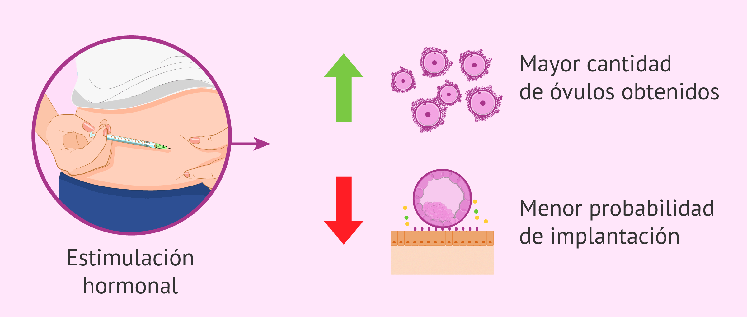¿Las tasas de implantación de los blastocistos congelados son mejores?