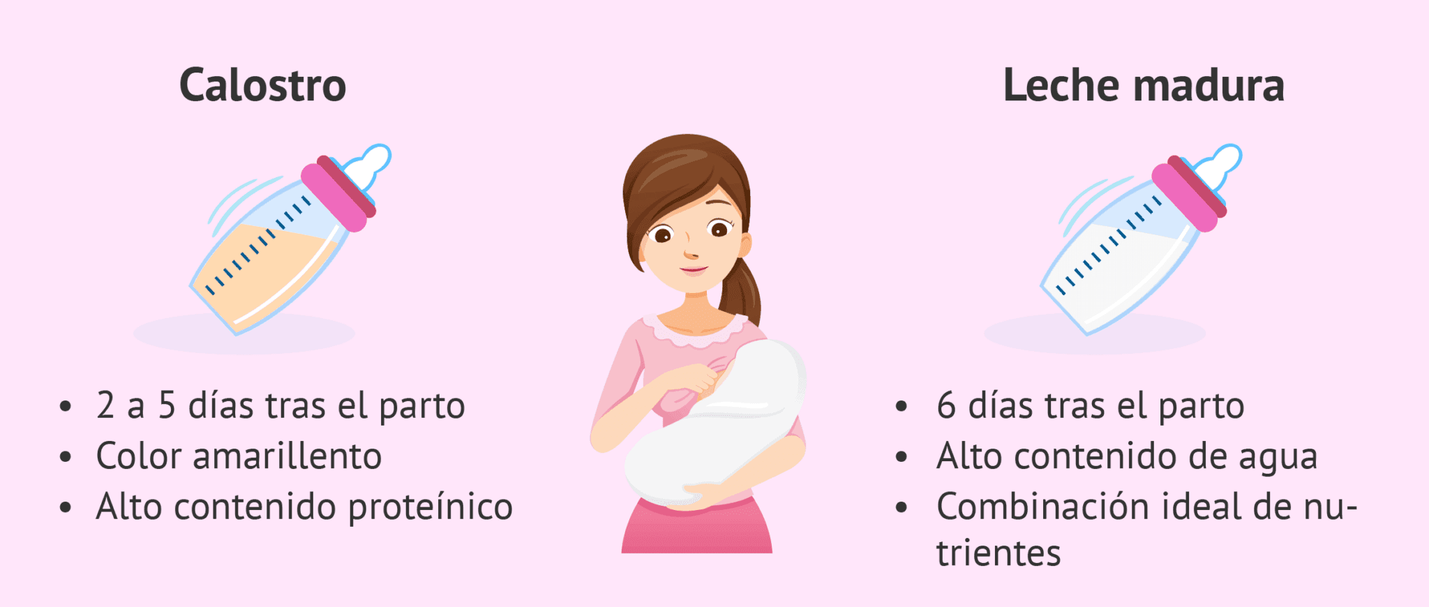 Diferencias entre el calostro y la leche madura