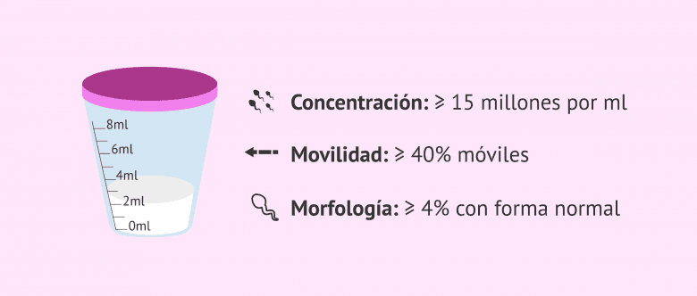 Imagen: Características de los espermatozoides sanos