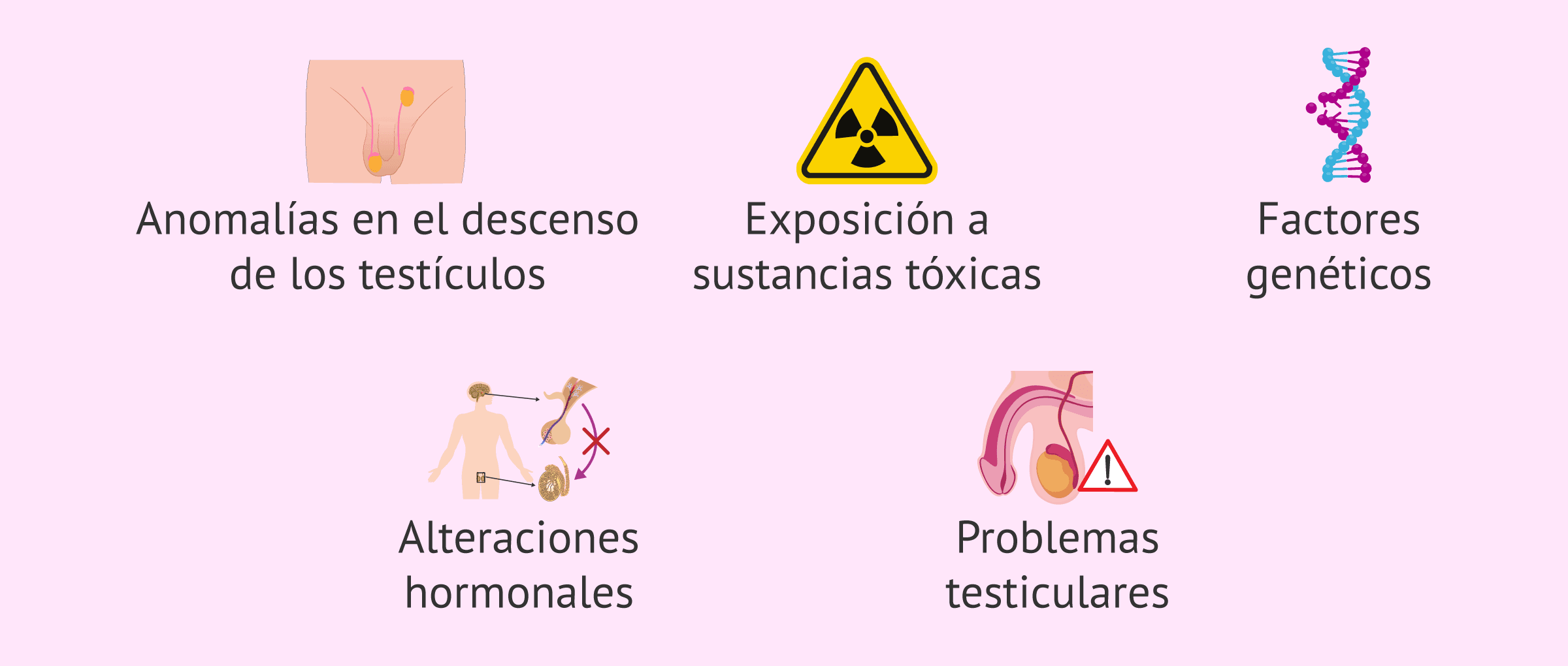 Imagen: Motivos azoospermia no obstructiva