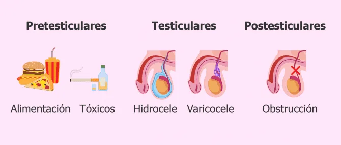 Imagen: Causas que provocan oligospermia en el varón