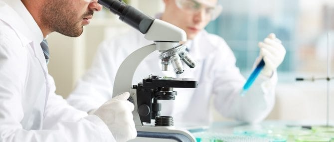 Imagen: Obtienen espermatozoides a partir de células embrionarias