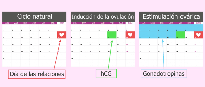 Imagen: Coito programado con o sin medicamentos