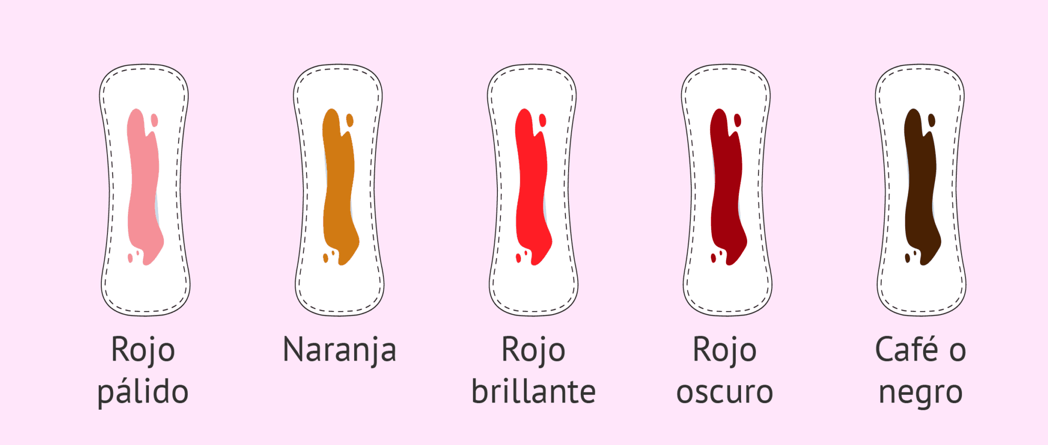 la-menstruaci-n-s-ntomas-y-caracter-sticas-del-sangrado