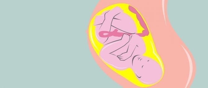 Imagen: Trasplante uterino en Suecia, madre e hija